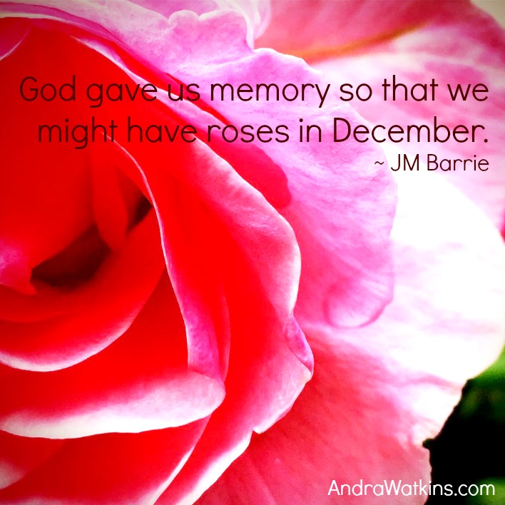 Roses In December makeamemory Andra Watkins